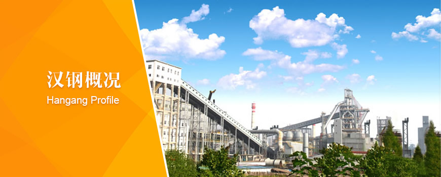 �䓼��F�h����F����؟�ι�˾��I����