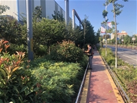 �����ӄӑB��ȫ�T���c����푾Gֲ�������l��