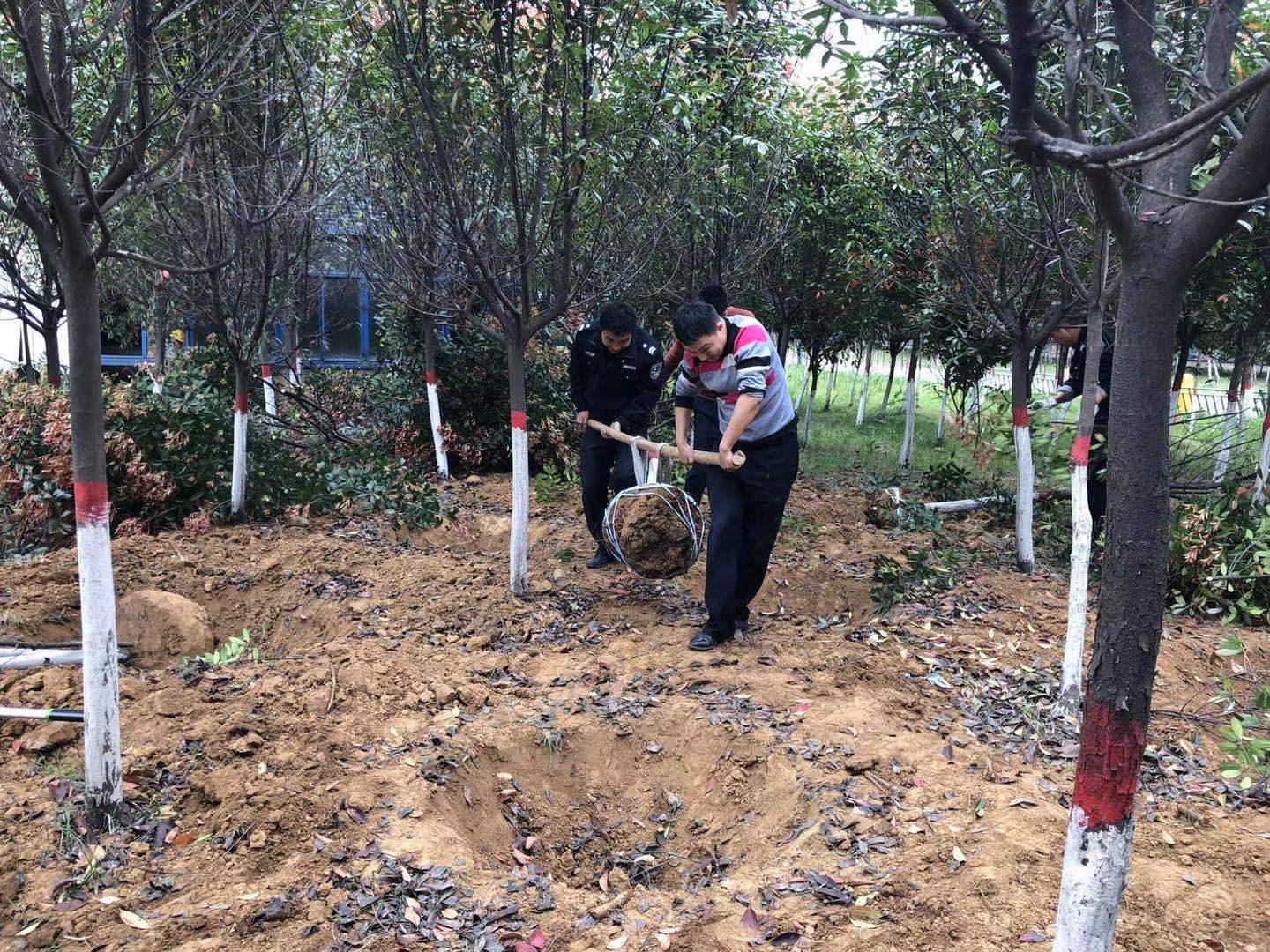 ����֮̎�@���L--ֲ�九����и�