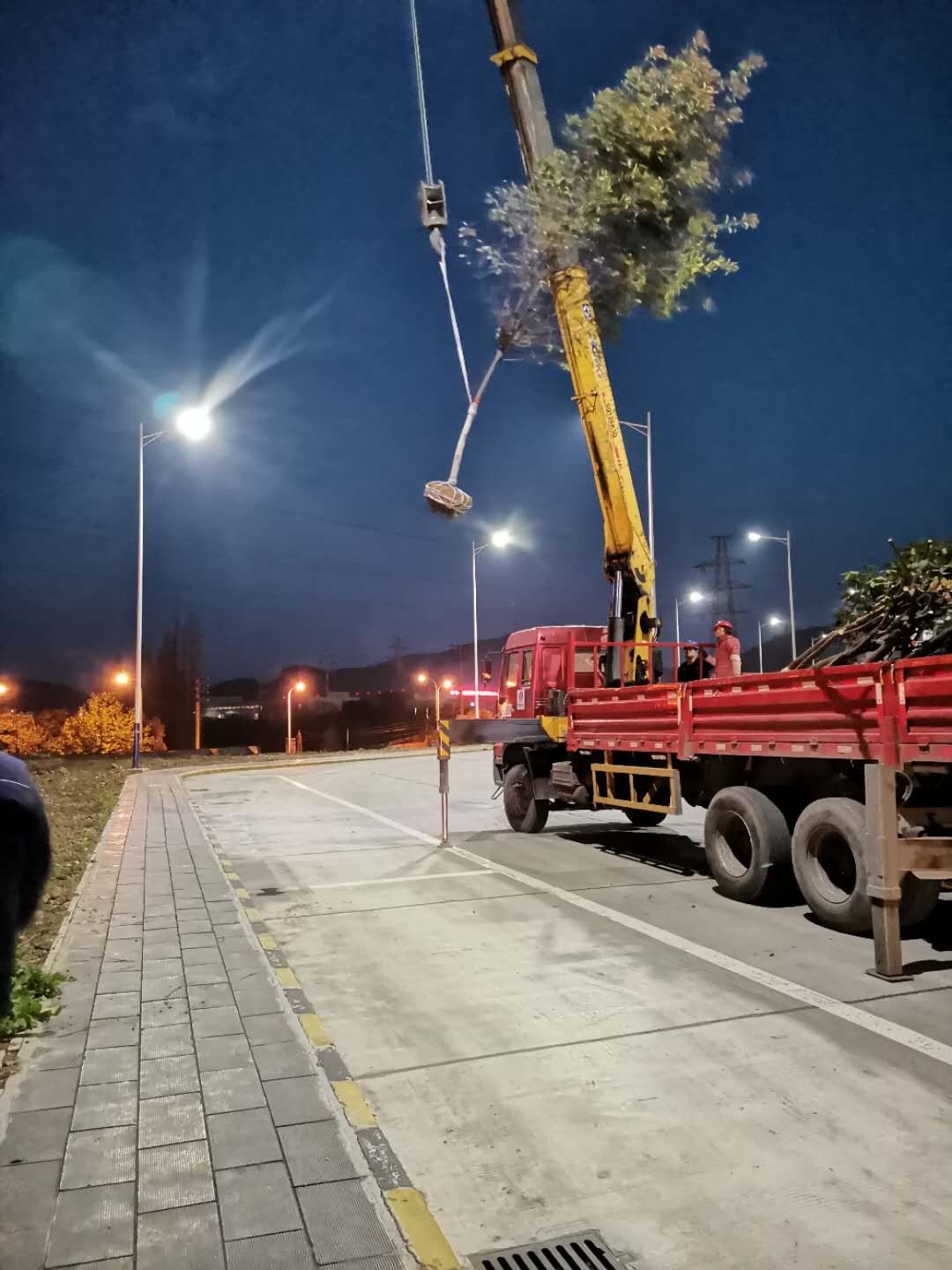 ����֮̎�@���L--ֲ�九����и�