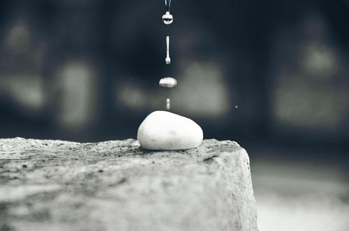�޹���ɽ�Ć�ʾ
