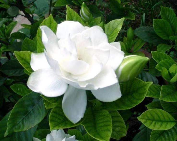 ��Ҋ�d�ӻ��_