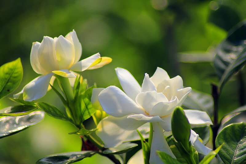 �d�ӻ��_