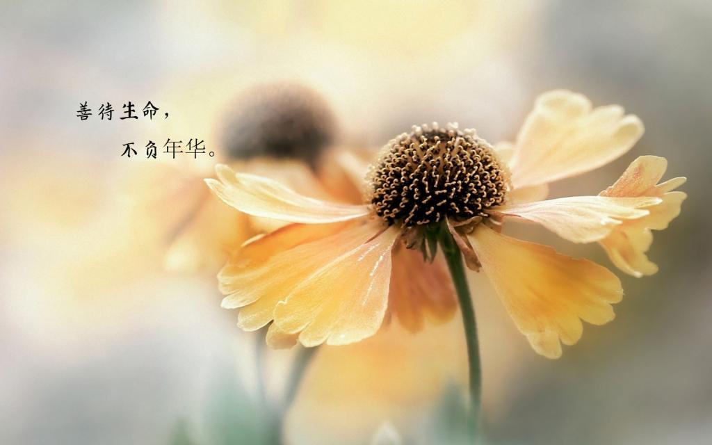 �r��Ҵ�