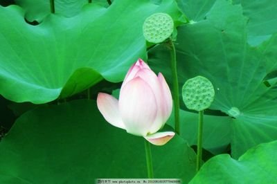�M��������l˼