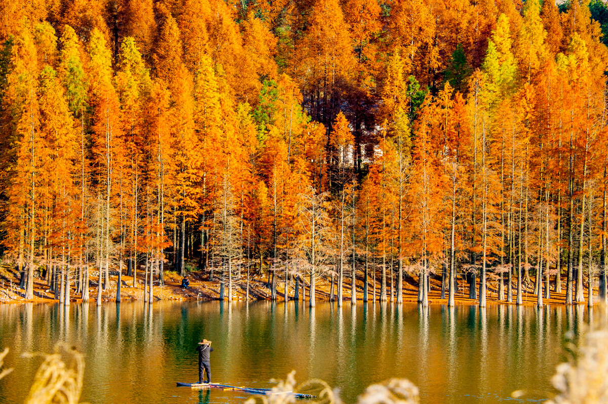 �y�����l(xi��ng)��ˮɼ