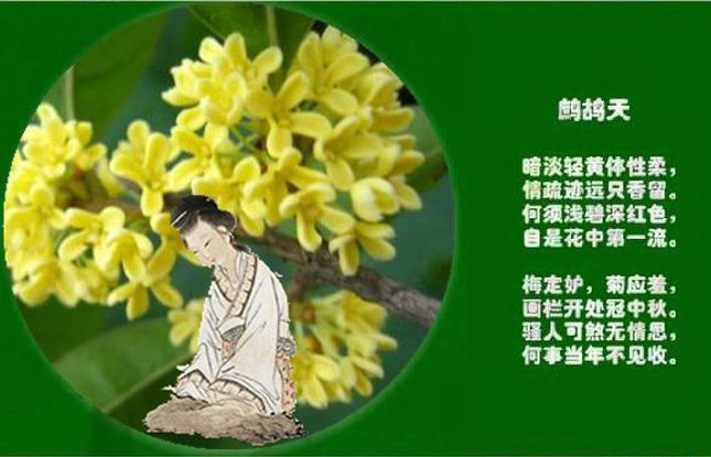 ʮ��䓳ǹ��h�� ������������r(sh��)