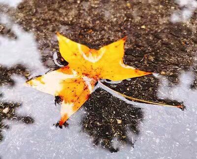 ���겻����ͩ��  �����f�ĸ�ǧ��