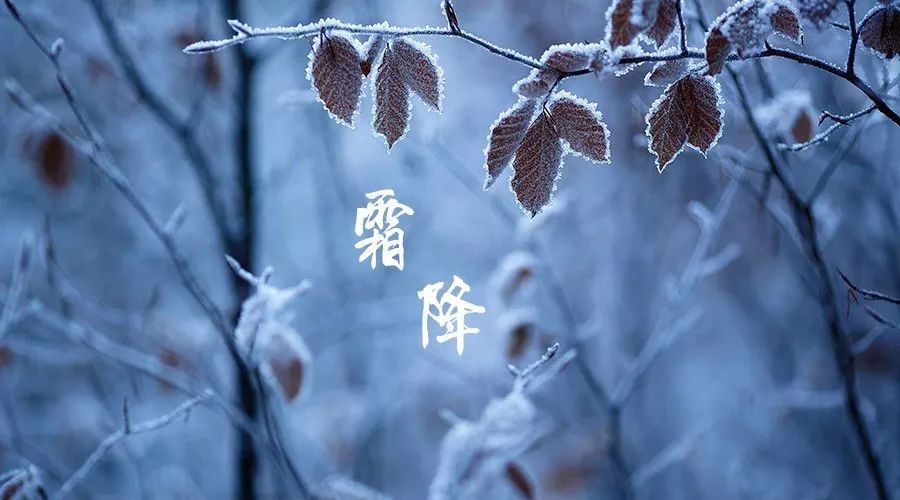 霜降 “清秋” 遠(yuǎn)去“寒冬”來(lái) 霜降 “清秋” 遠(yuǎn)去“寒冬”來(lái)