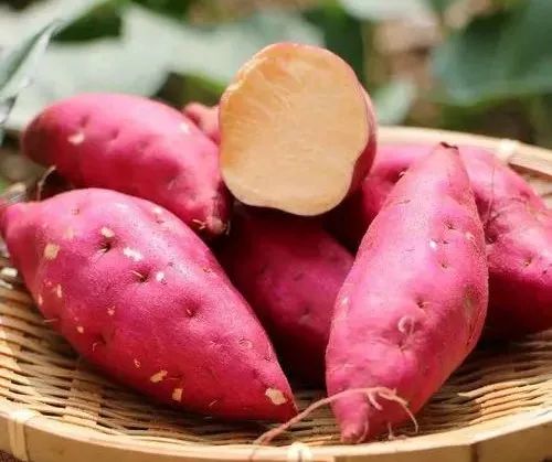 童年那些“甜甜”的記憶 童年那些“甜甜”的記憶