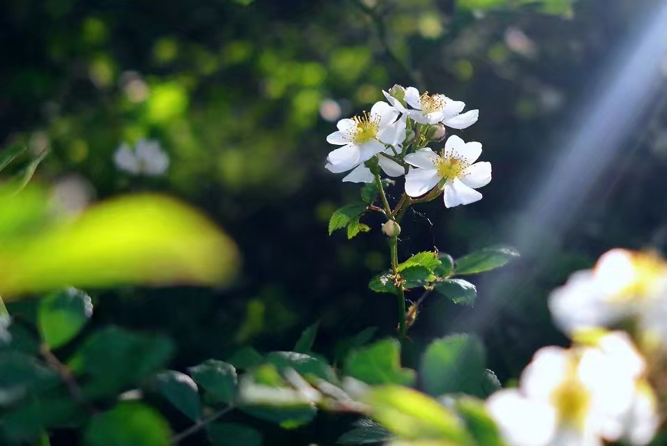 �h䓲�ֹ�m��˼����m����Ҋ