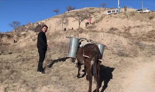 ӛ��ꃱ� �ھ���