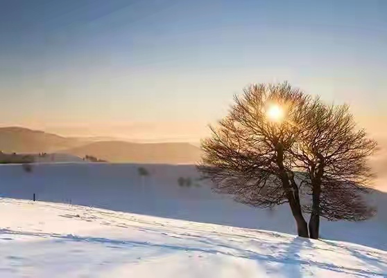 �ļ�����     ������ů