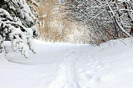 �����_���A