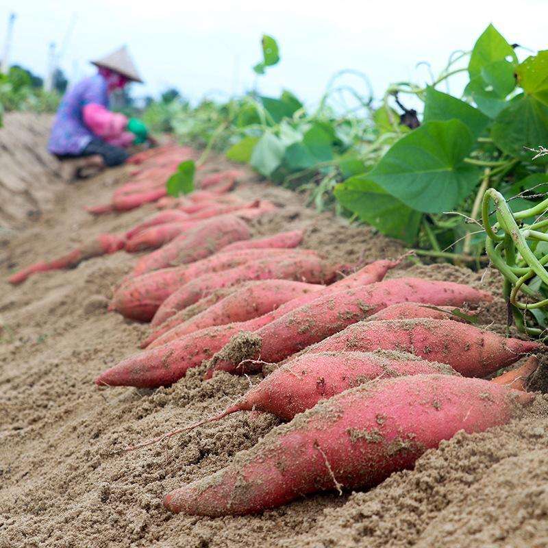 �����l(xi��ng)��   ������ζ