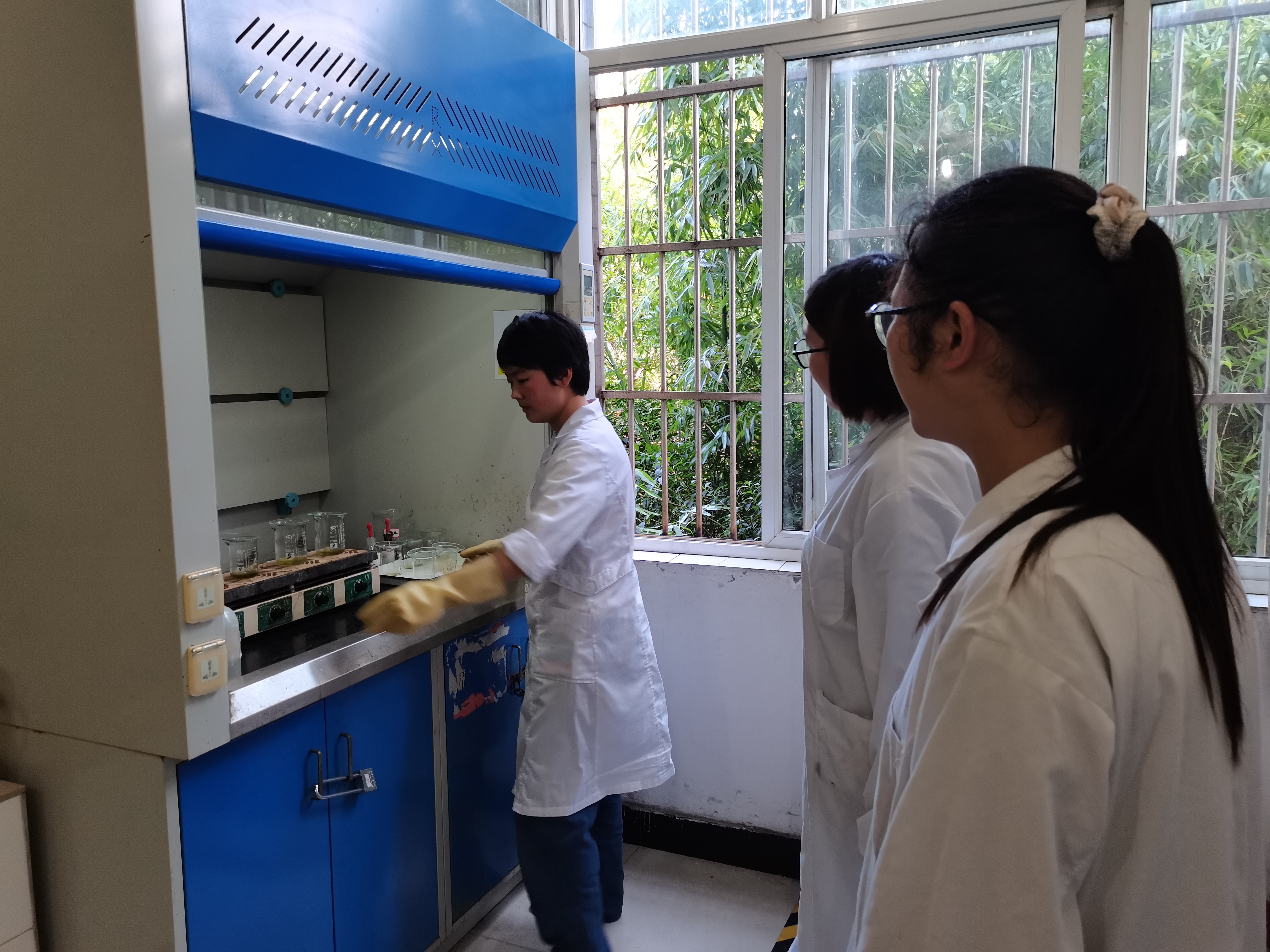 ����ҵĲ�Ů��