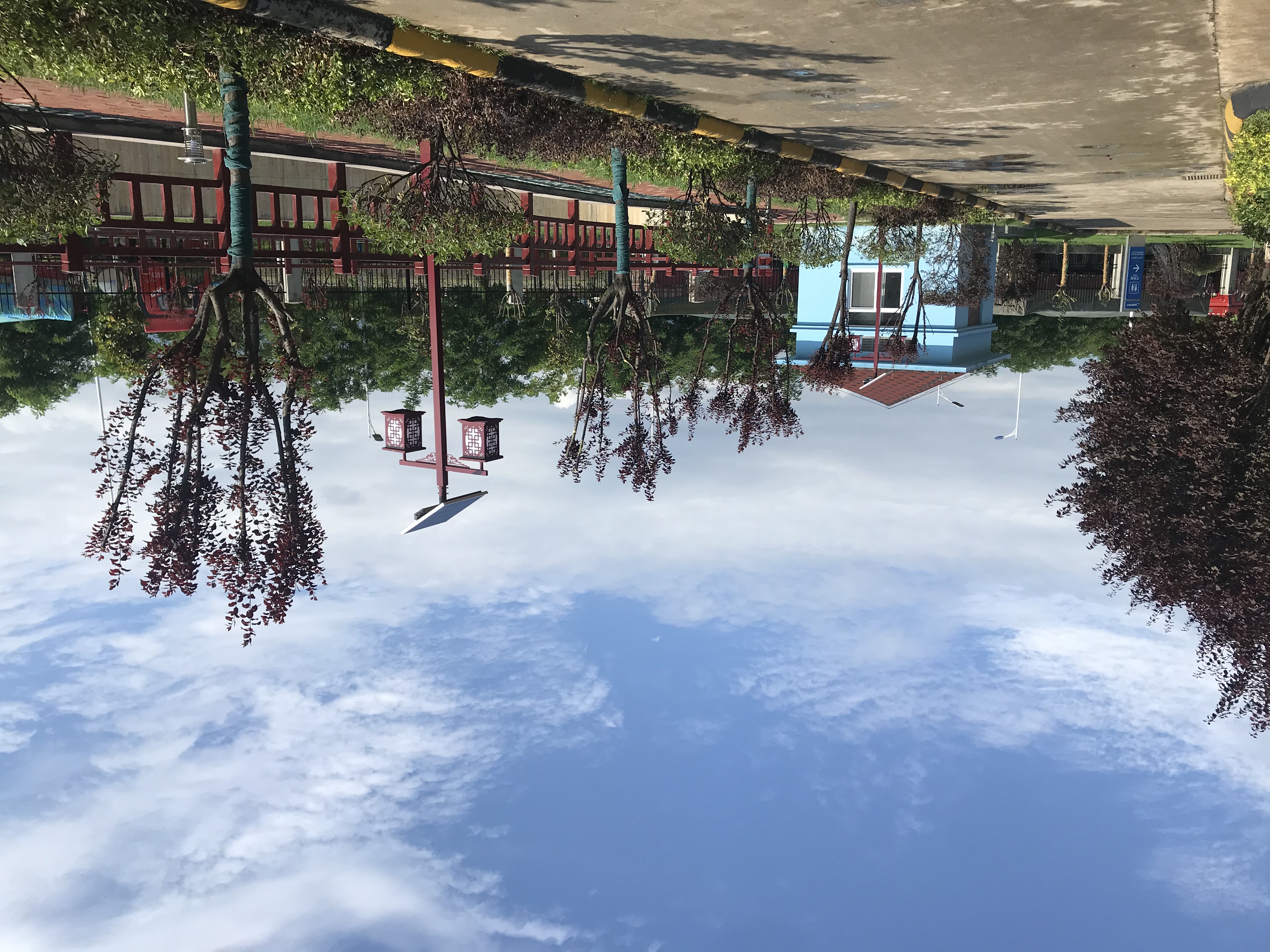 ��G���� ��̼�p��������