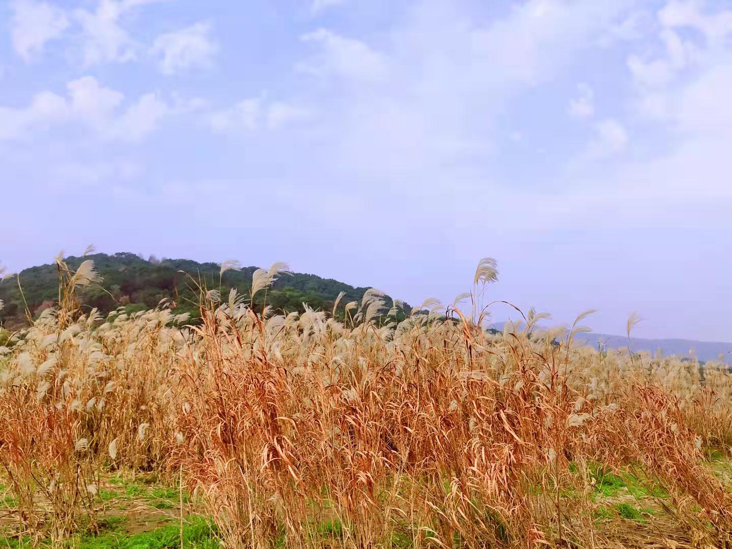 �r���е��JȔ