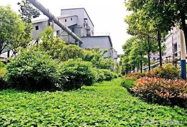 ���o�{����� �ڵá������y��