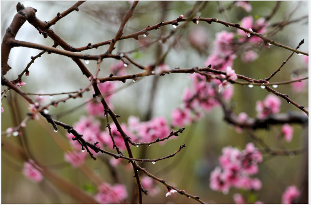 ��ϣ������Ұ��