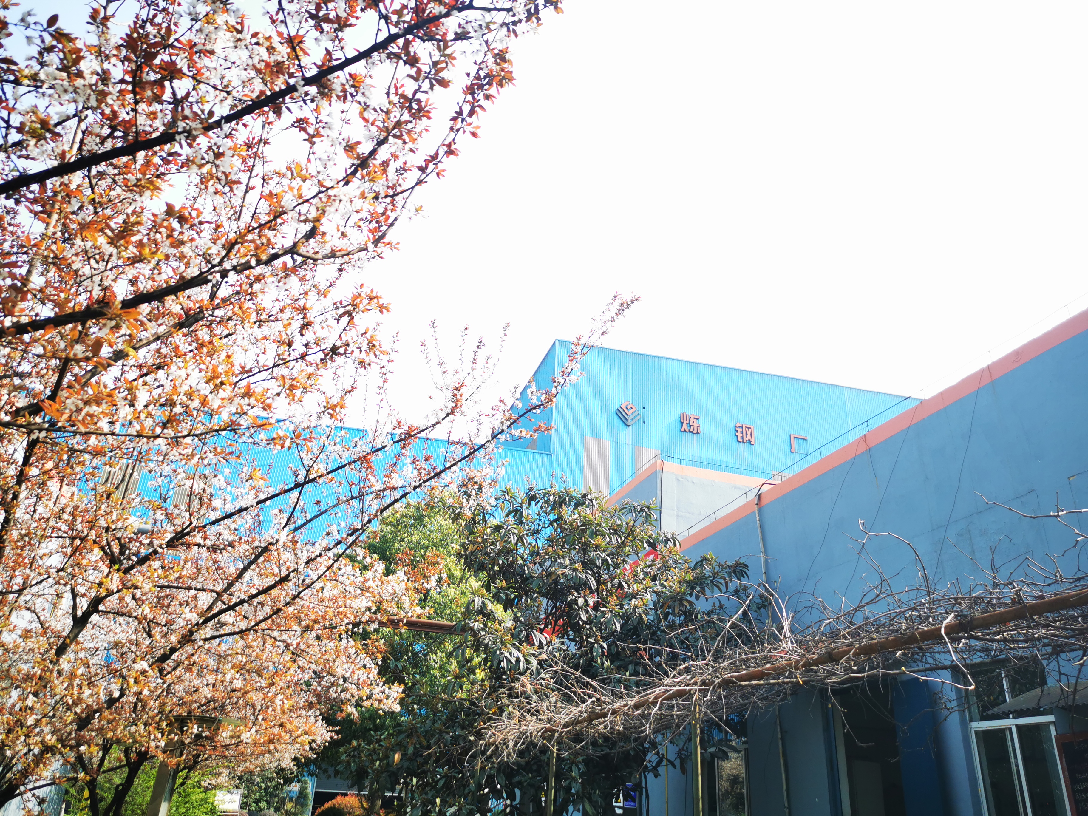 ��ֲ�h��������̽�����G���Ļ����O��ģʽ