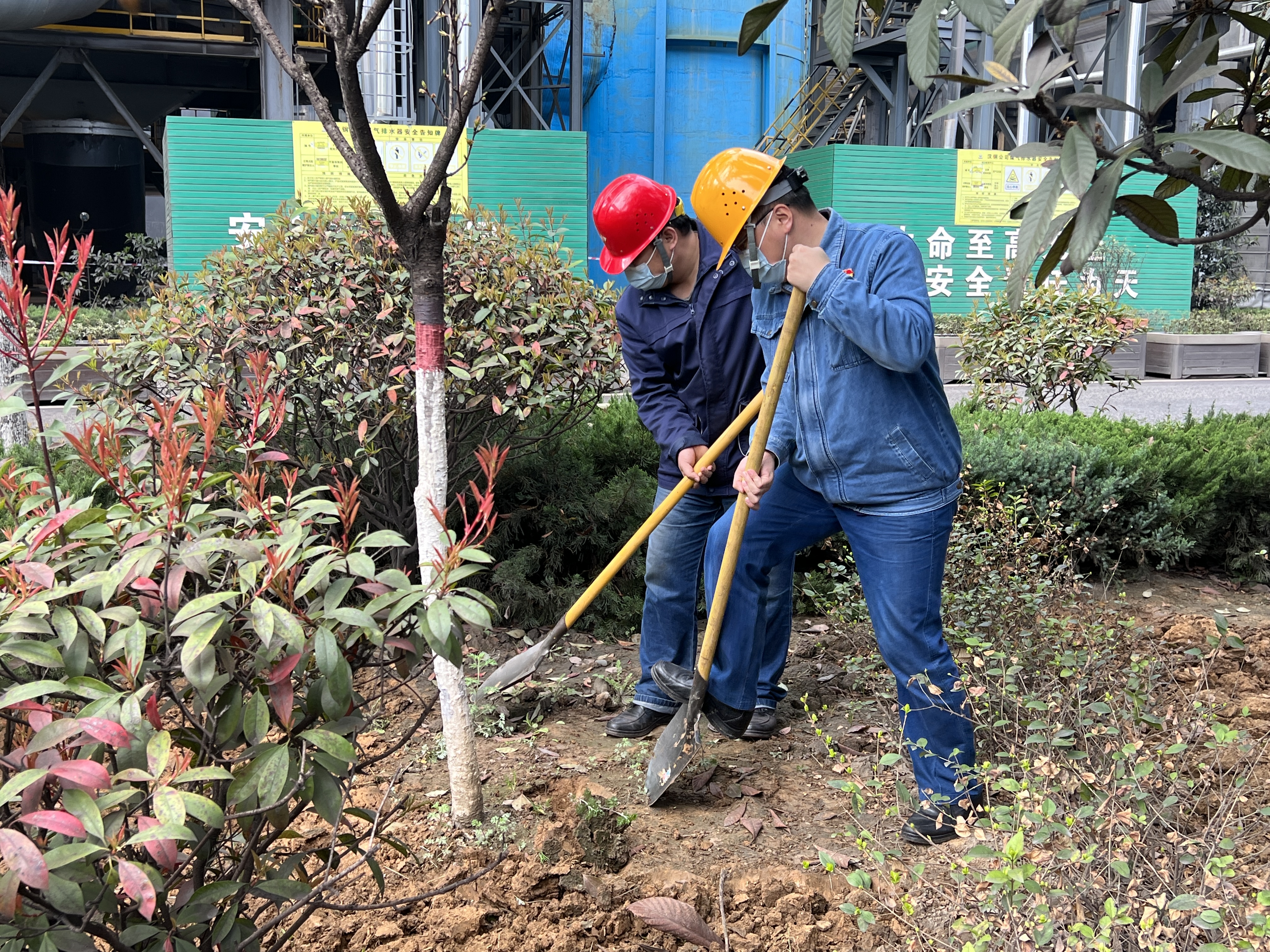 �����ֵ���ЃȺ� ���ࡰ����֮�䡱�_֦ɢ�~