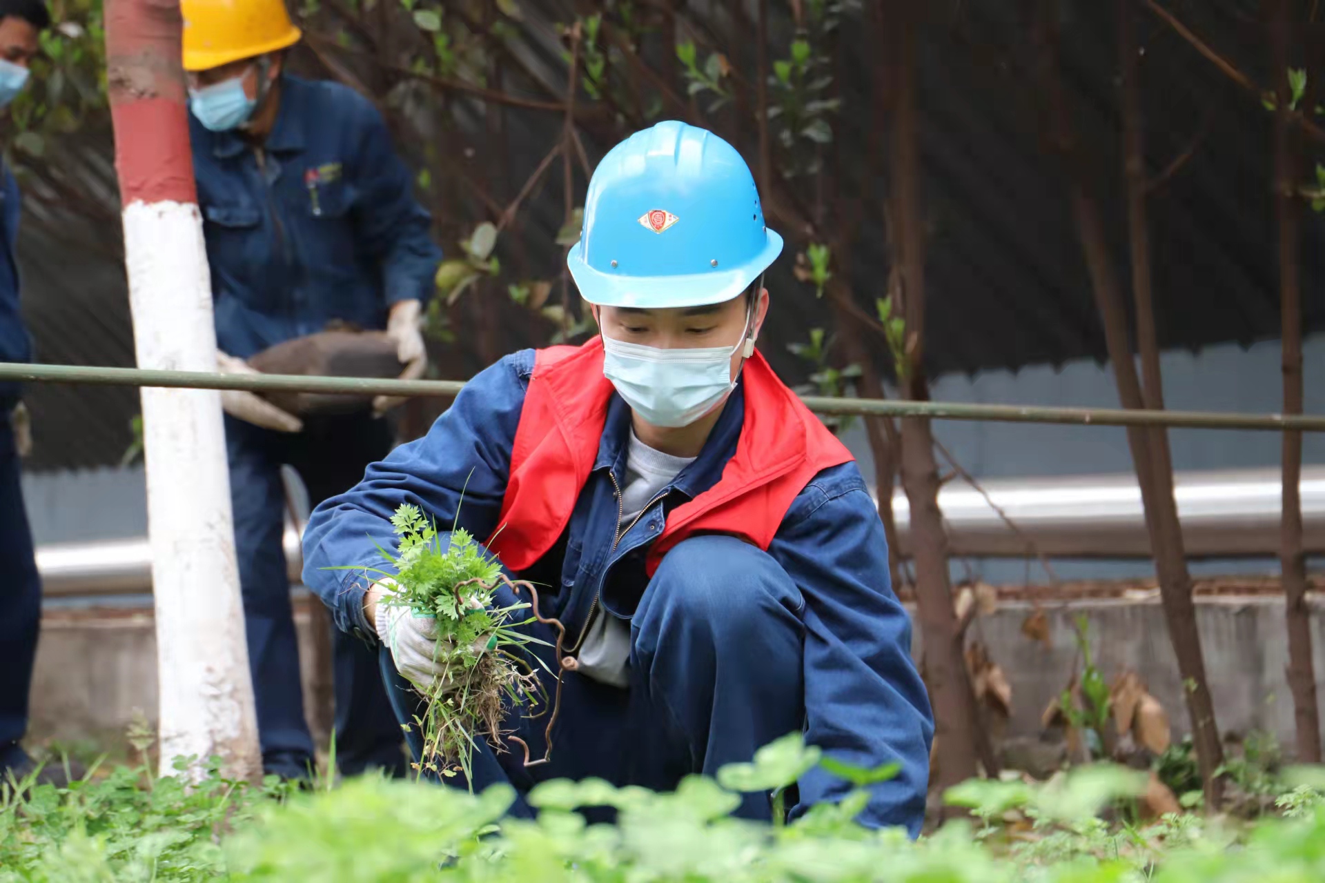 �����ల������������ȫ�֡�