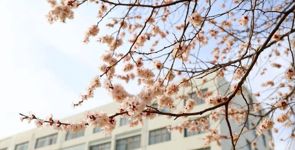 春意賦麗，生命常新