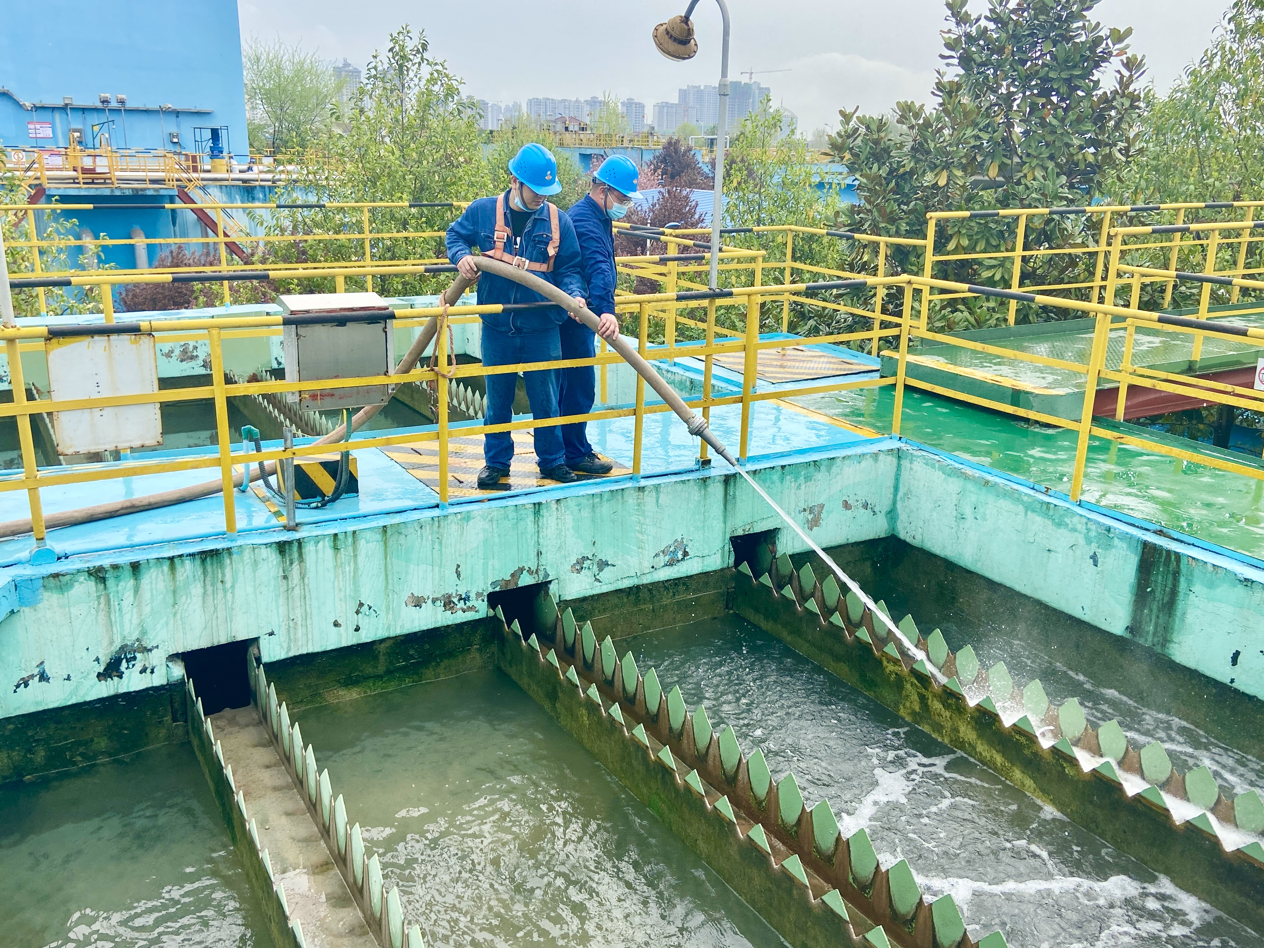 入耳入心 這樣的形勢任務教育超提氣! 入耳入心 這樣的形勢任務教育超提氣!