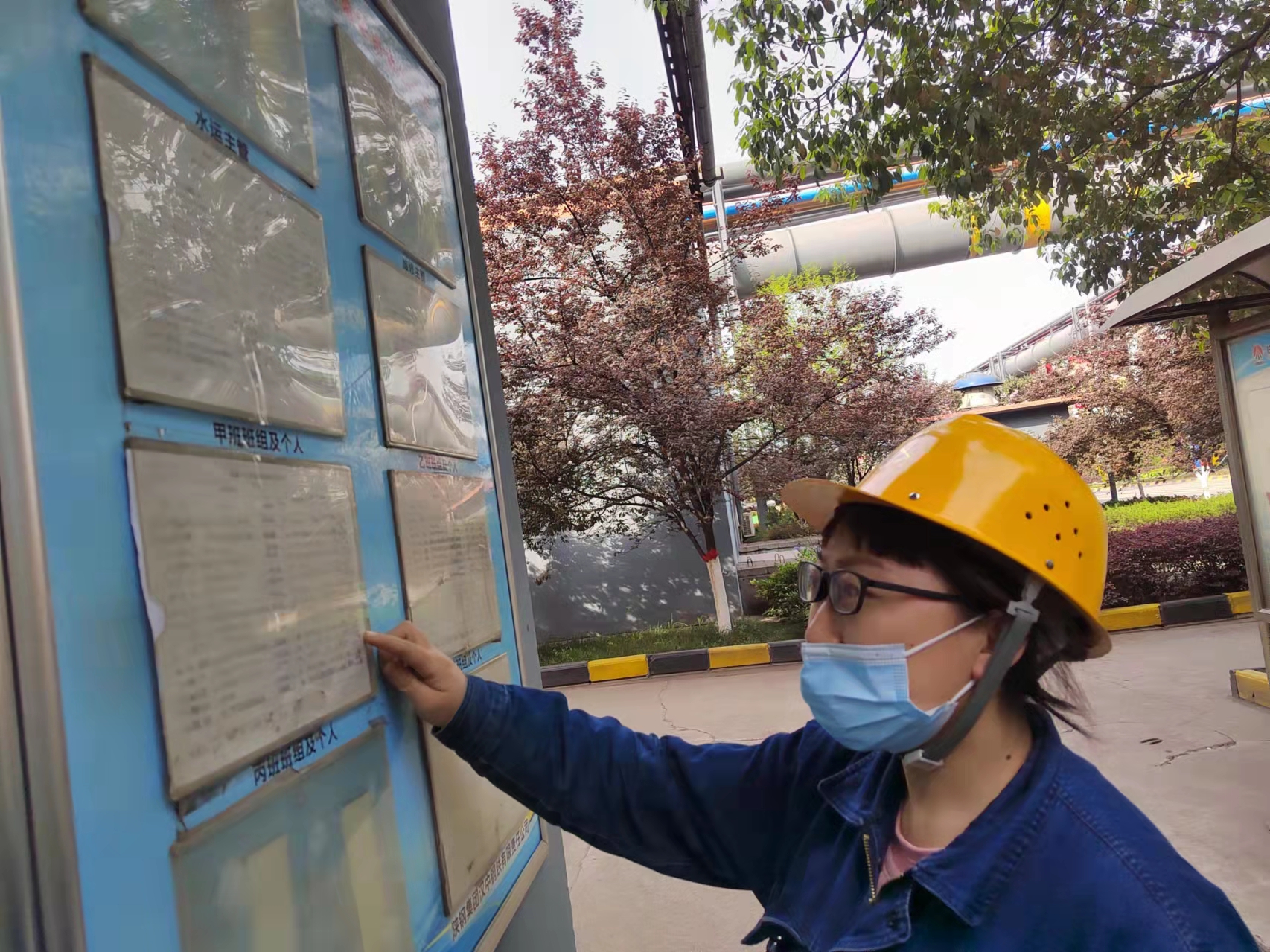 快看,檢修現(xiàn)場的“三角梅” 快看,檢修現(xiàn)場的“三角梅”