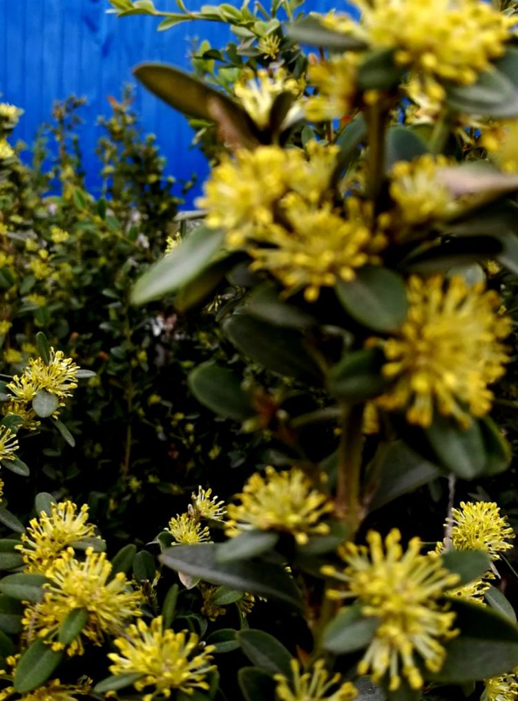 䓳Ǵ����  ��ؓ(f��)�Õr��