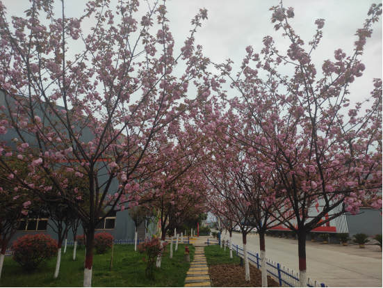 䓳Ǵ����  ��ؓ(f��)�Õr��