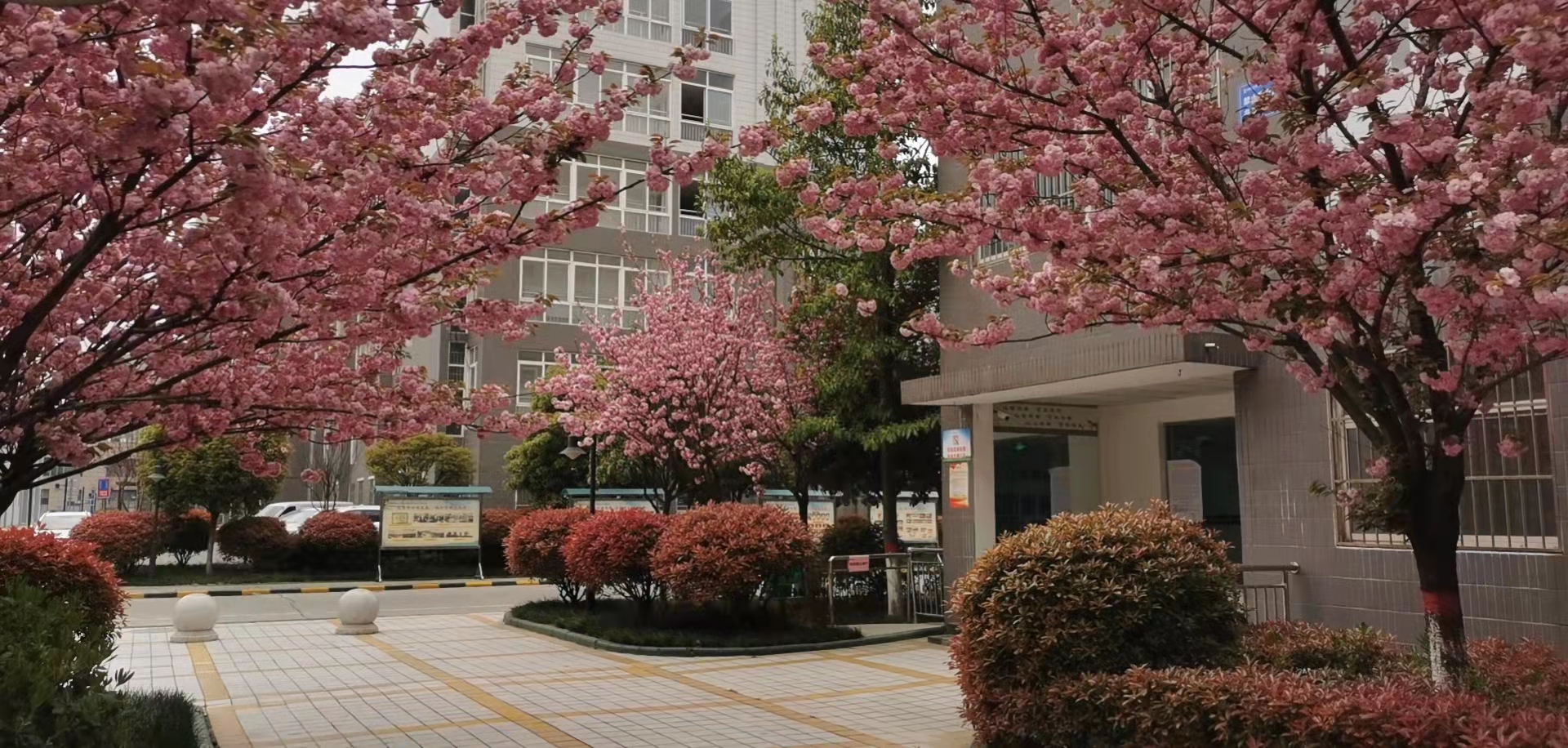 四個堅持讓職工居住環(huán)境提檔升級 四個堅持讓職工居住環(huán)境提檔升級