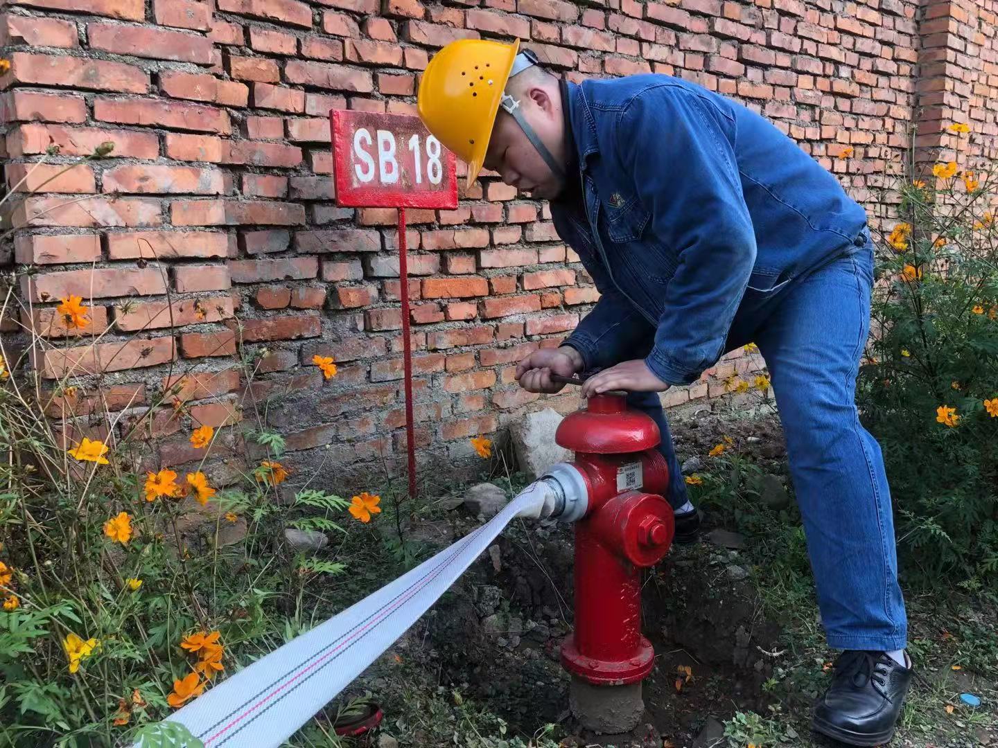 �O��Z�ݵġ����o�ߡ�