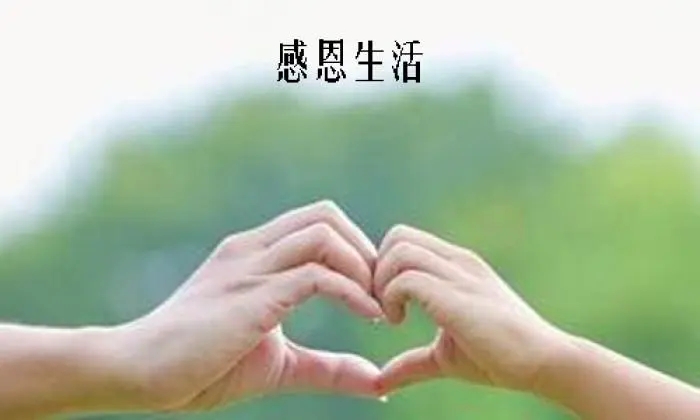 �ж�����