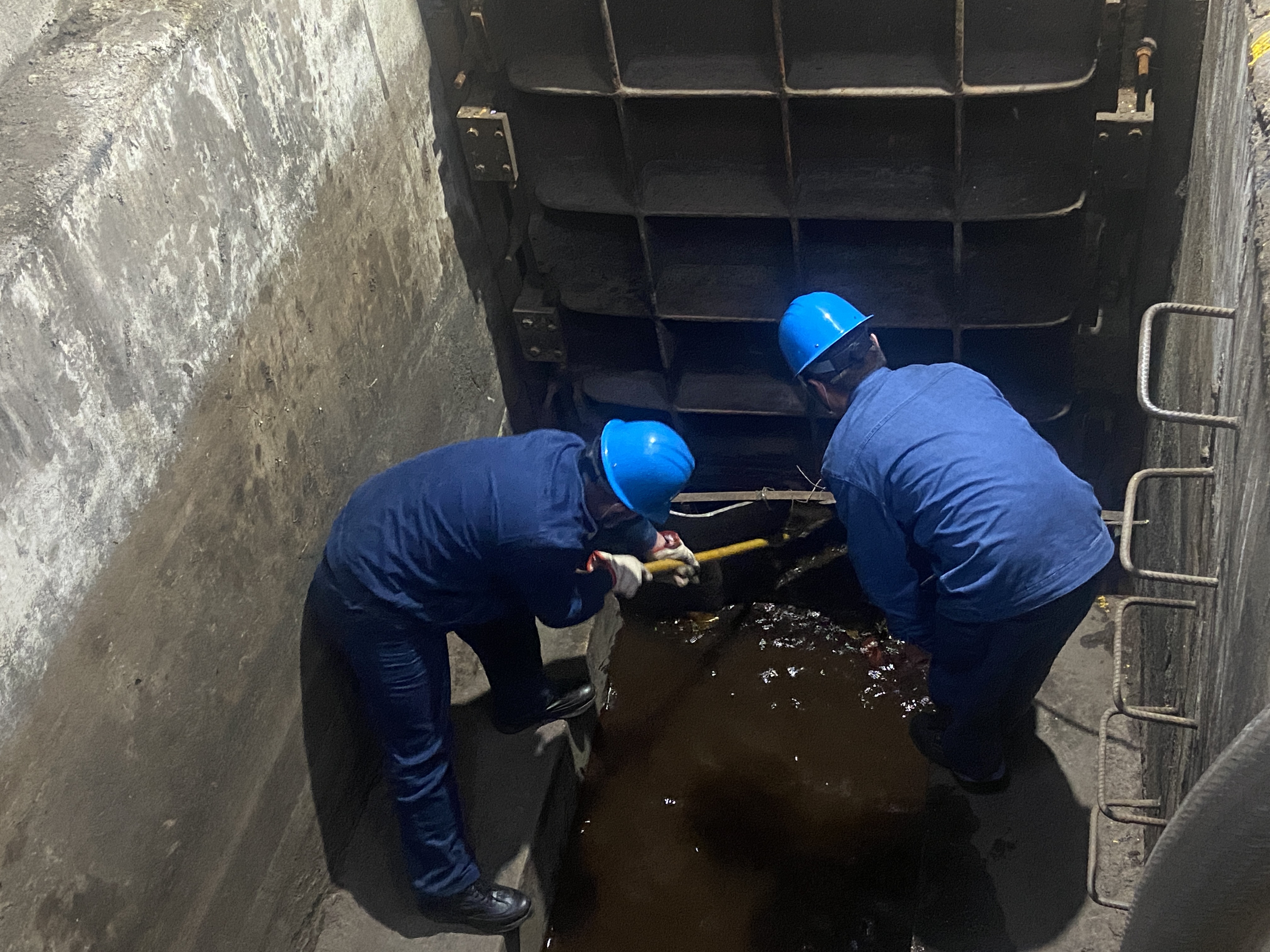 �ゃ����F������ģ��