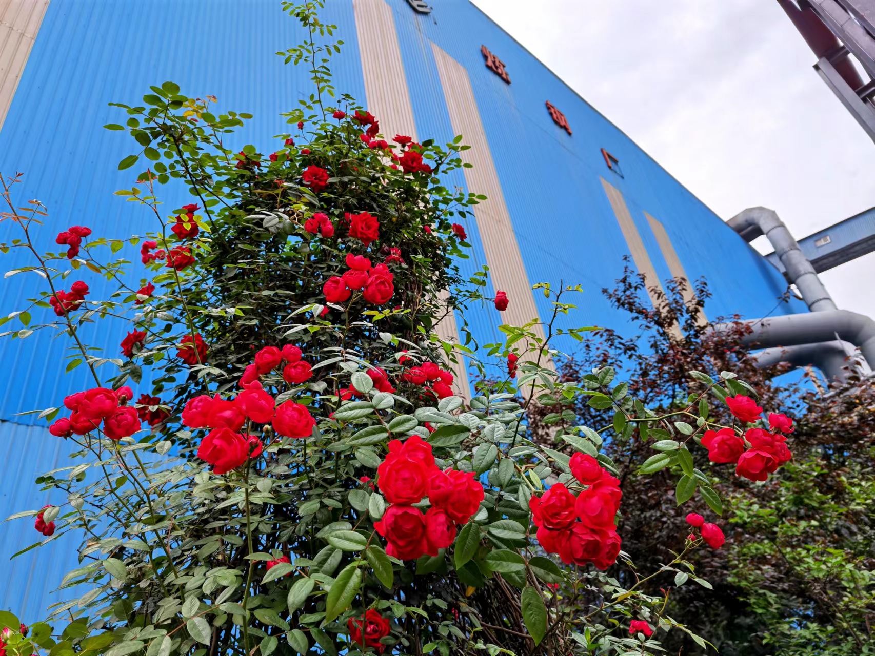 ��̼����δ�������G����䓳�