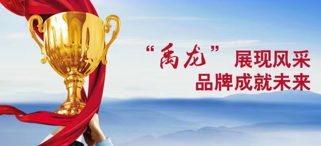 讓陜鋼“禹龍”品牌在新時代綻放璀璨光芒 讓陜鋼“禹龍”品牌在新時代綻放璀璨光芒