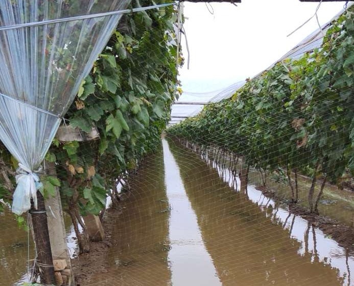 伴我成長(zhǎng)的“樂(lè)園”