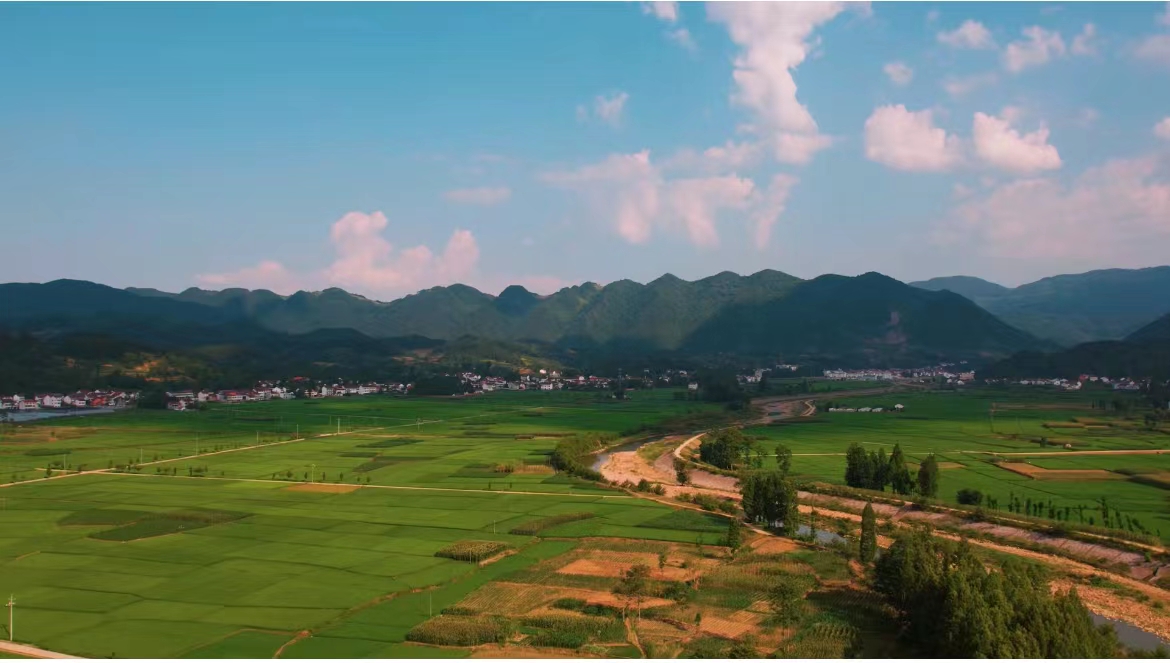 夏日靜思 夏日靜思