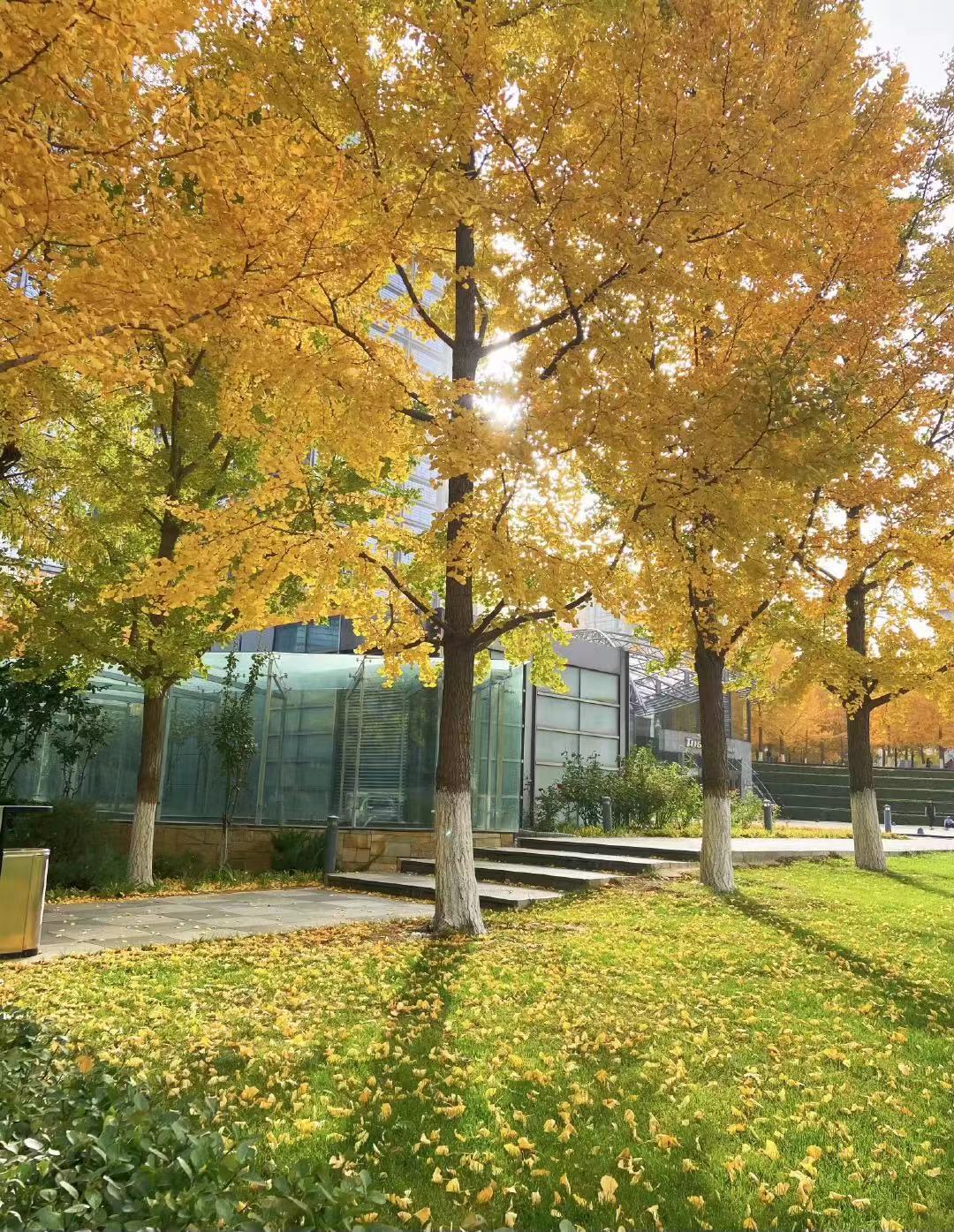 迎秋蓄冬只為破春