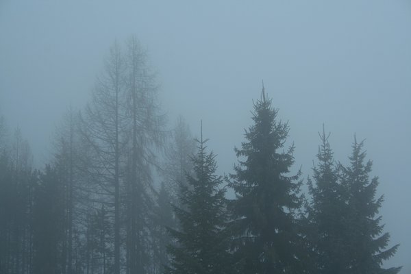 天蕩山深秋雨后語(yǔ)