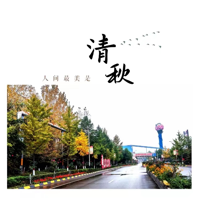 入眼皆是畫！打卡十里鋼城“花樣”秋天