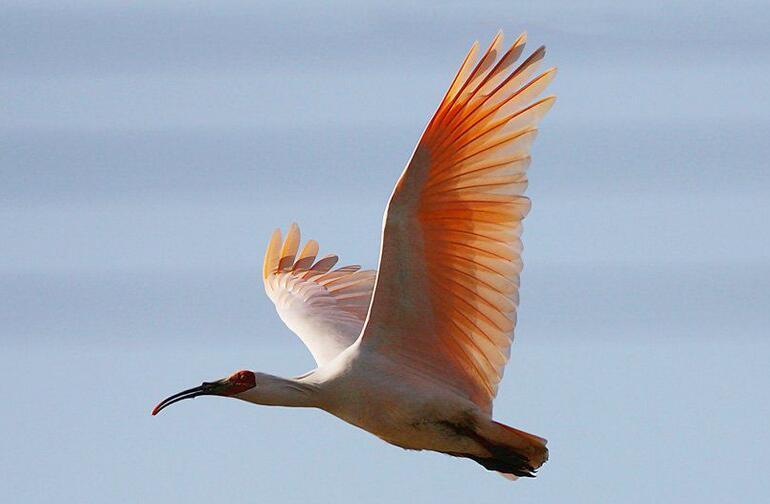 這里，有我的年年和四季