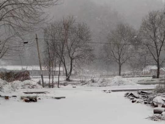 雪落村莊是鄉愁