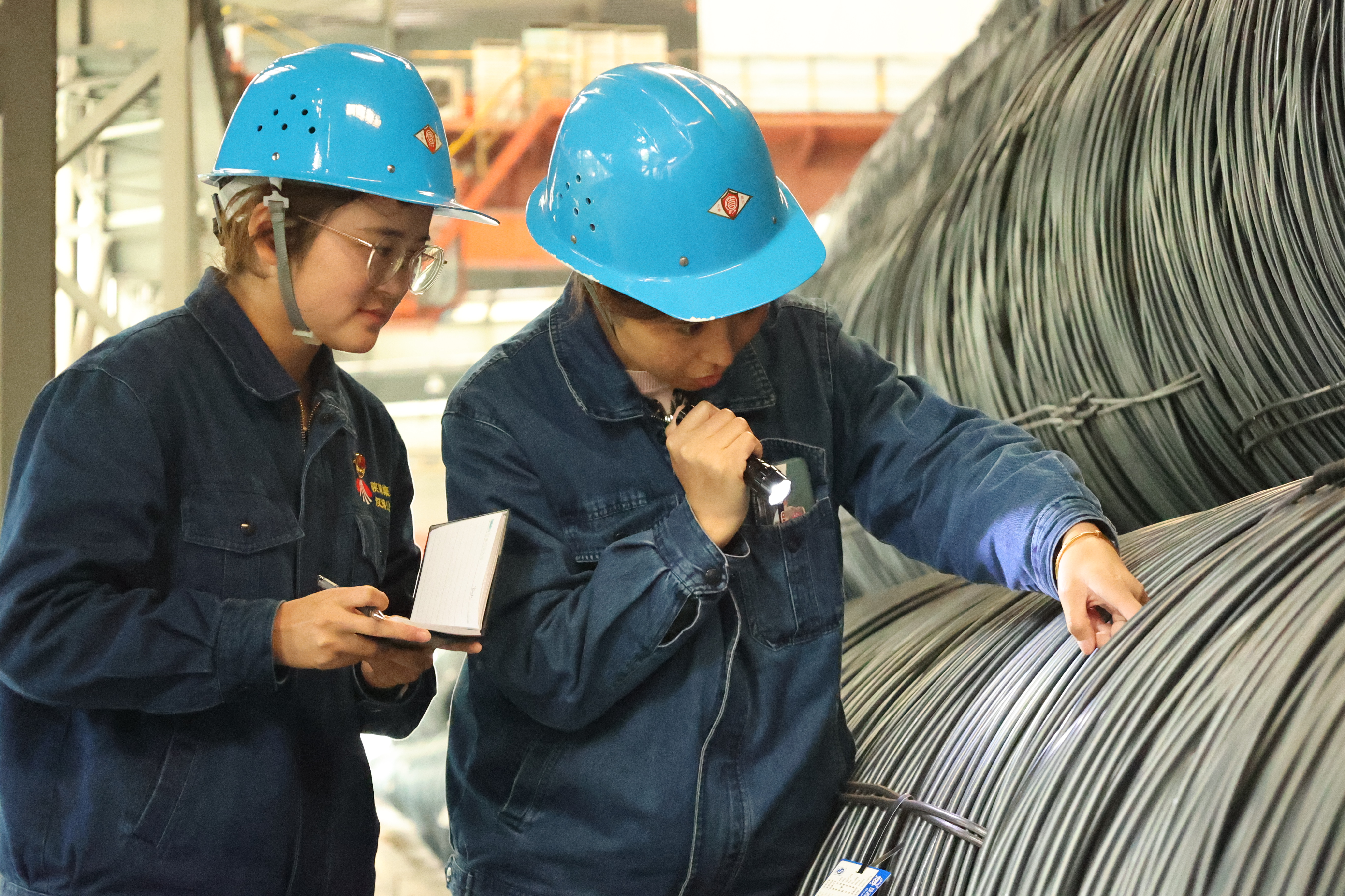 ��ֲ�h������   ���I(l��ng)��܈��ٶȡ�������