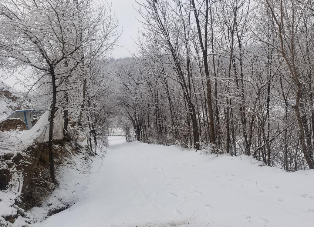 今我來思,雨雪霏霏 今我來思,雨雪霏霏