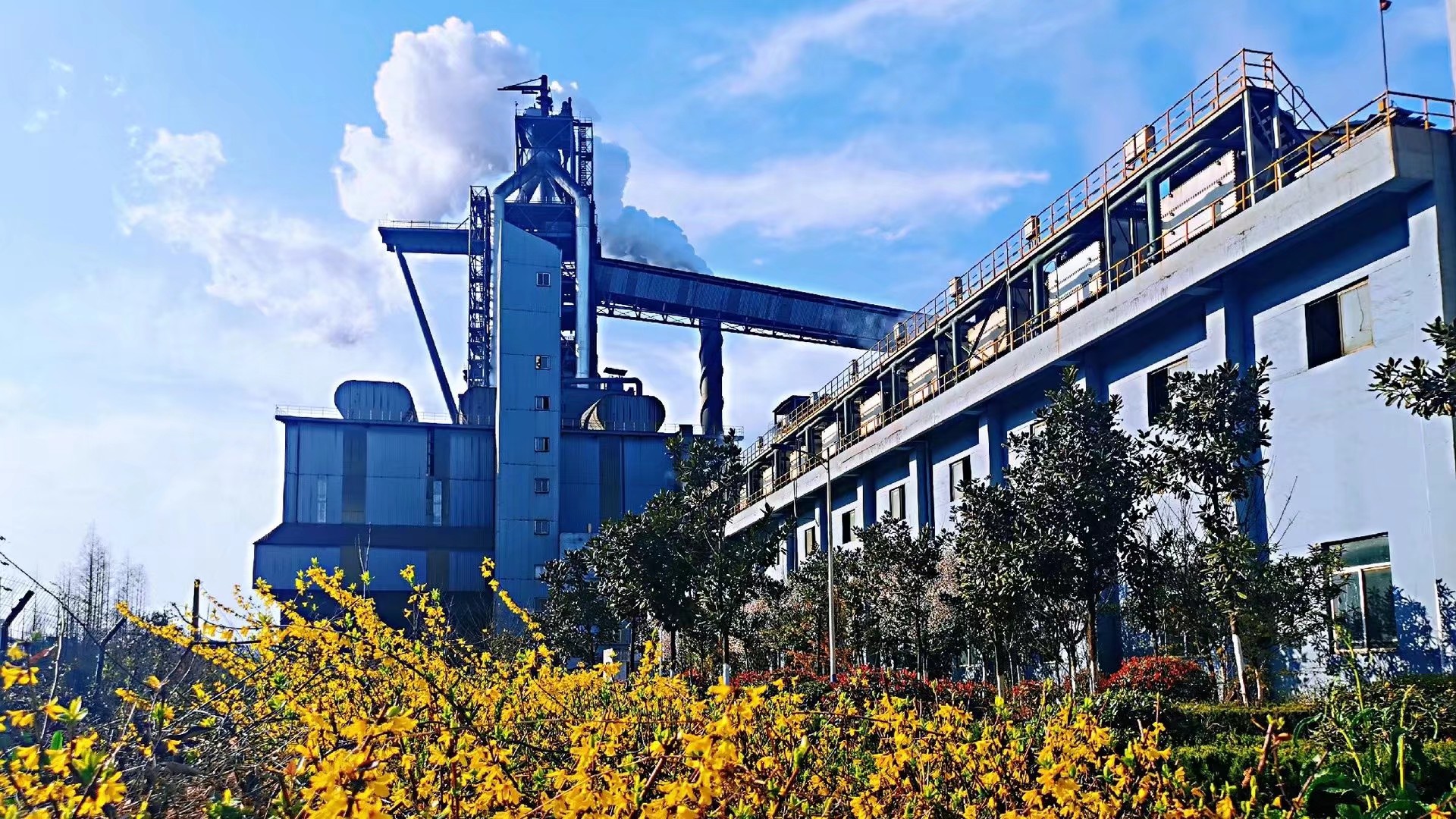 春日里的奮斗情懷