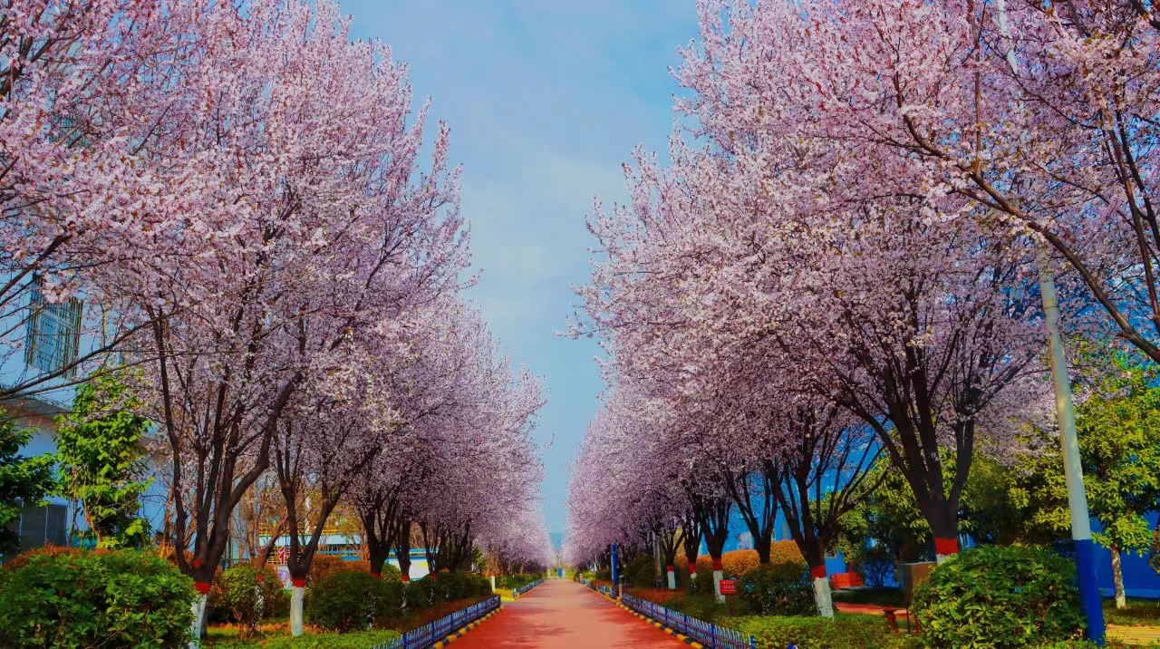 擁抱“雙碳”時(shí)代 搶跑綠色發(fā)展“新賽道” 擁抱“雙碳”時(shí)代 搶跑綠色發(fā)展“新賽道”