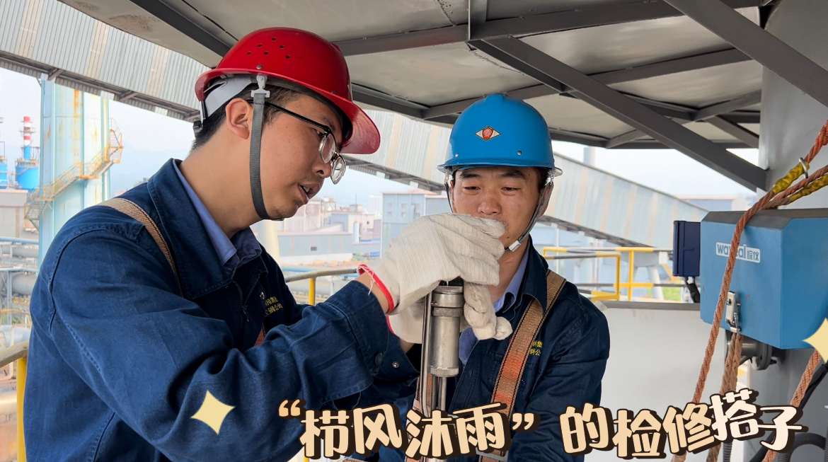 他們?yōu)楹谓Y(jié)伴找“搭子”？答案在這里！